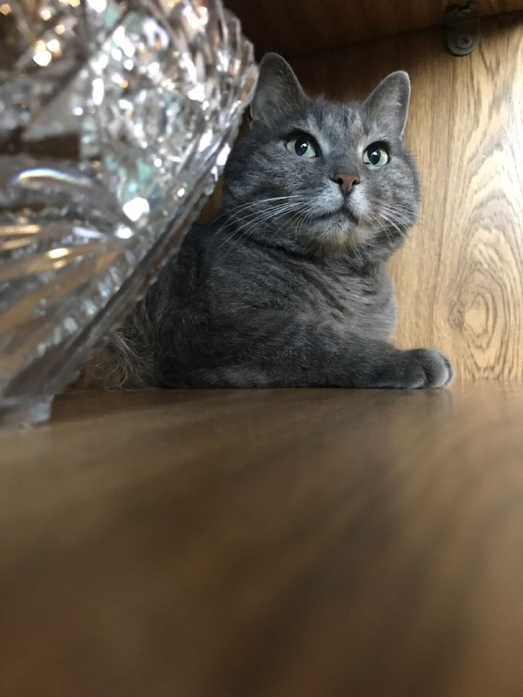 Photograph by Александр Филимоненко