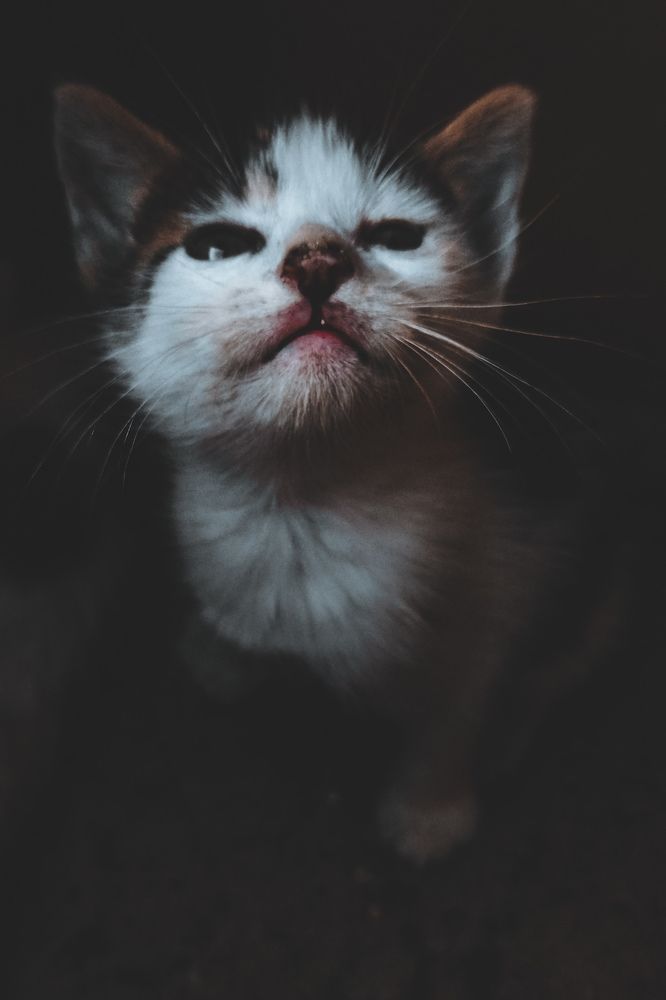 Photograph by Chukwu Favour