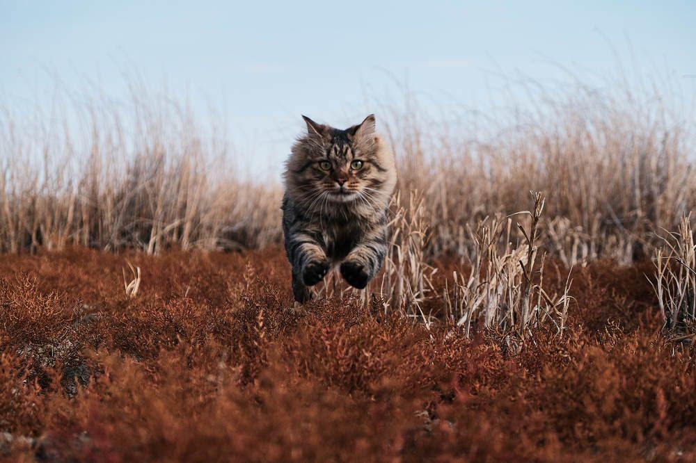 Photograph by Александр Герасимов