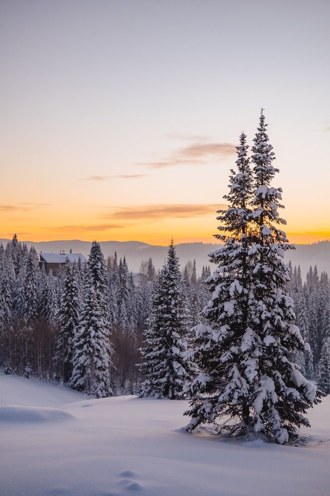 Photograph by Nataly Cook