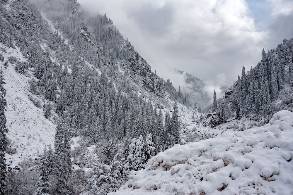 Photograph by Наталья Балеевских