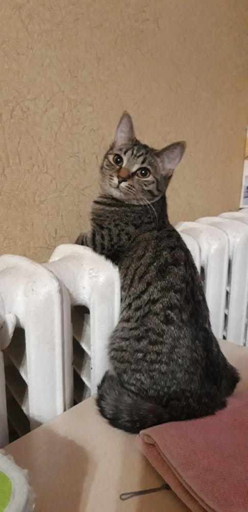 Photograph by Ирина Ахметова