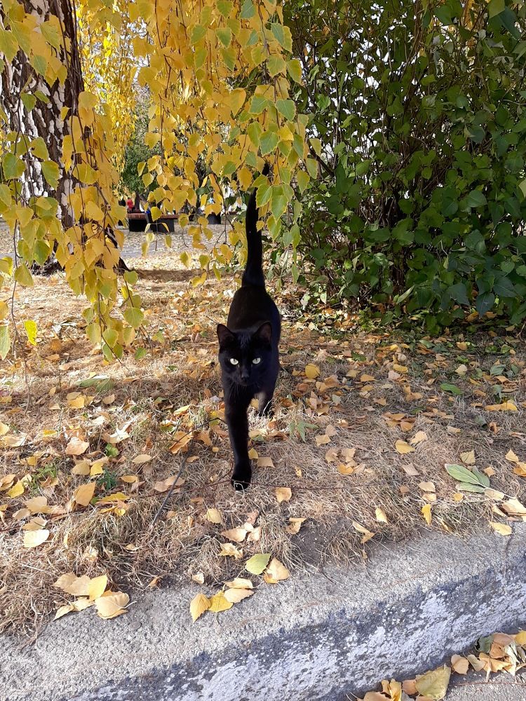 Photograph by Ирина Ахметова