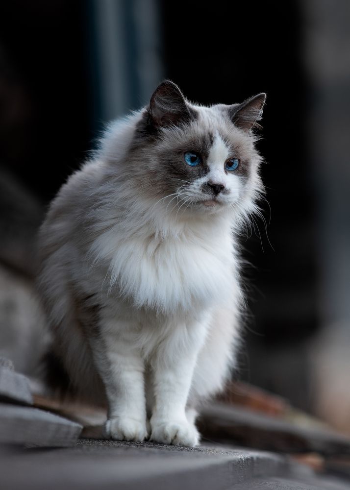 Photograph by Екатерина Корнева