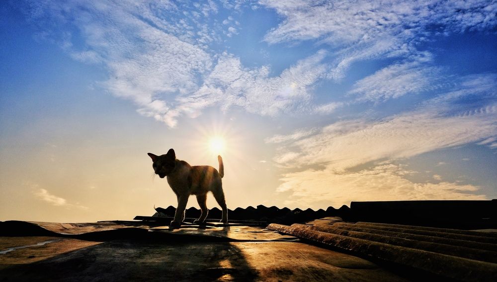 Photograph by Kenzou Sastra