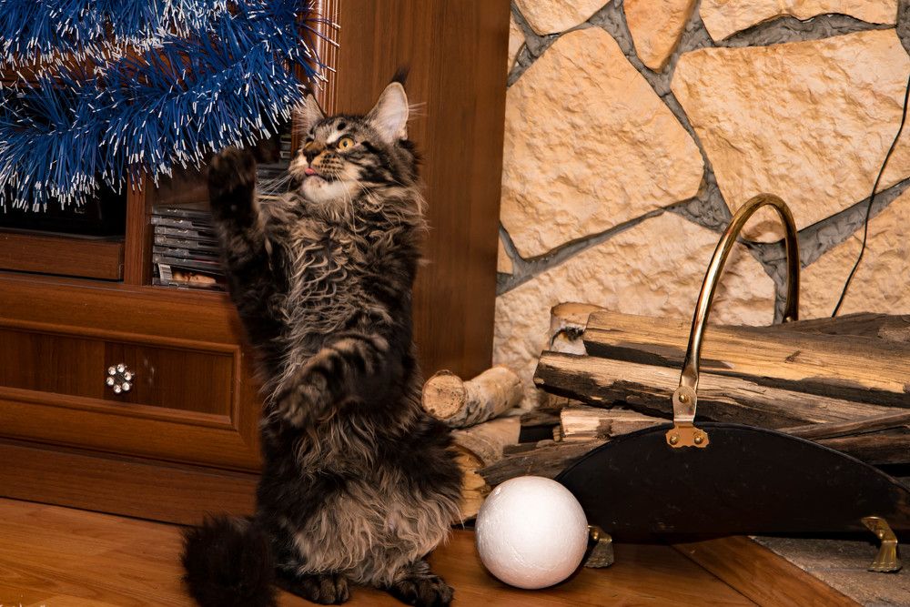 Photograph by Елена Прохорова