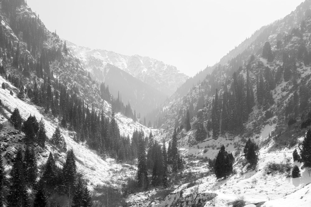 Photograph by Василий Шумкин