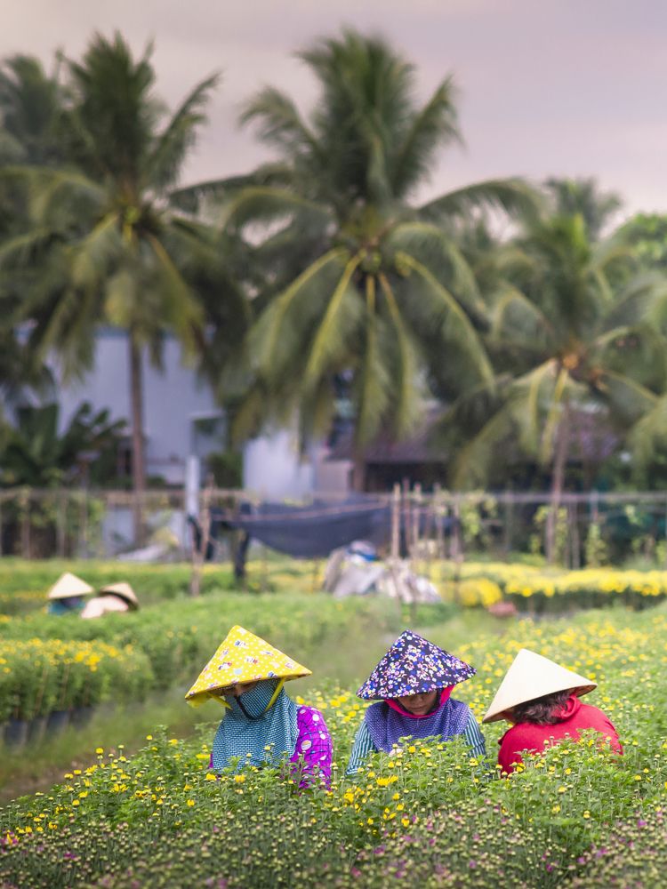 Photograph by Trung Nguyễn