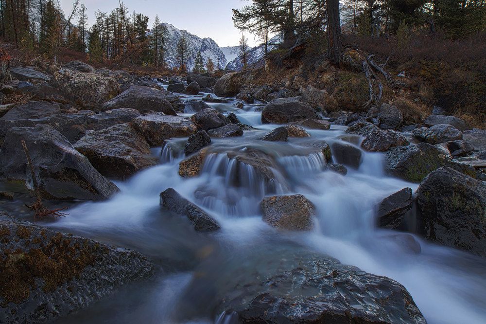 Photograph by Морозов Сергей