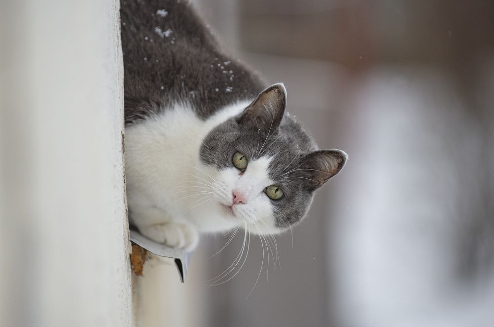 Photograph by Кулаков Юрий