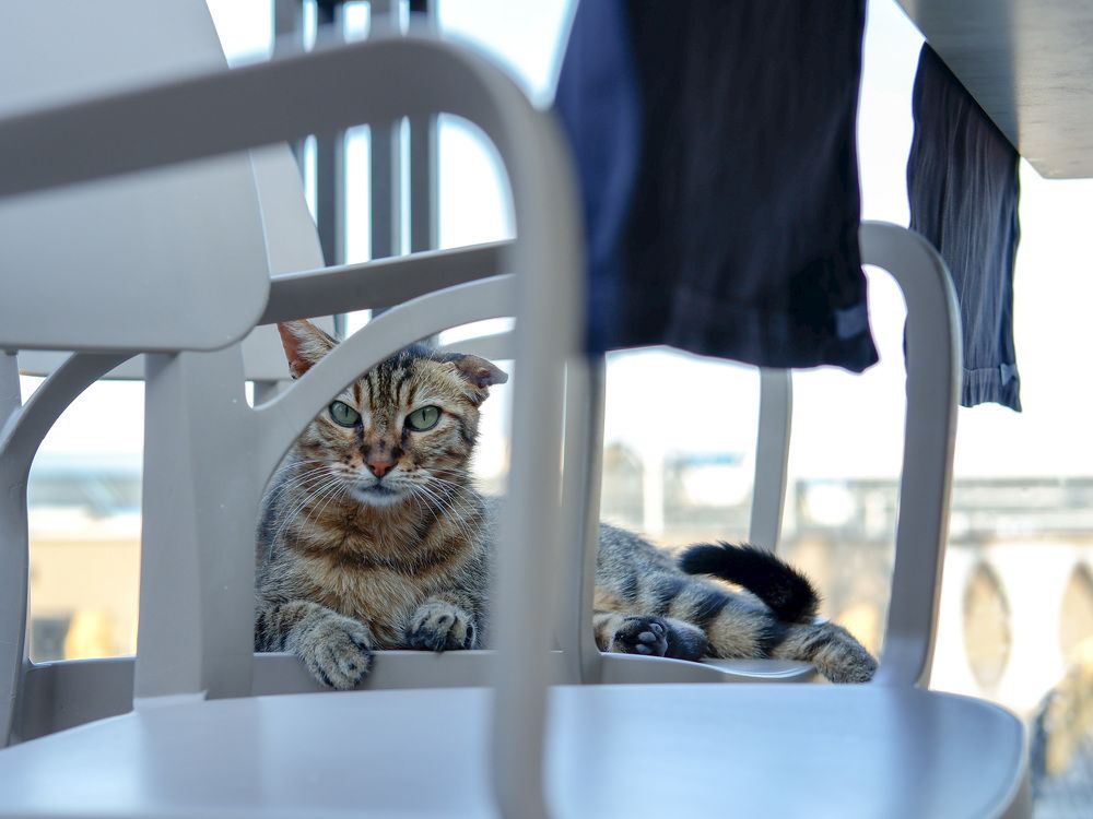 Photograph by Олег Володин
