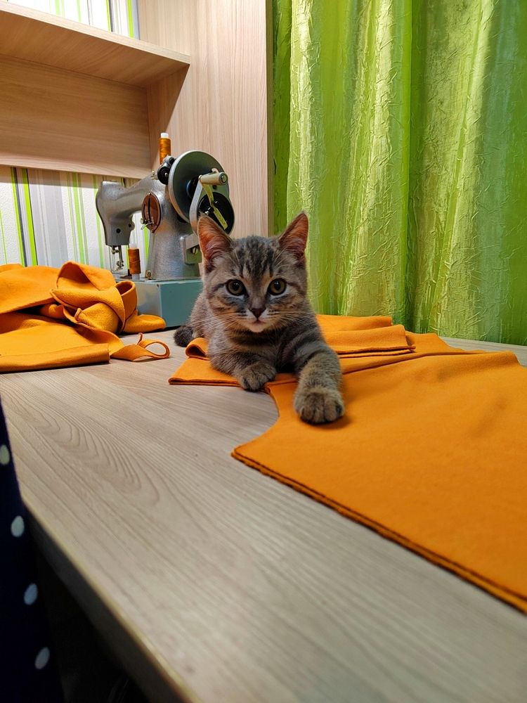 Photograph by Евгений Михайлов