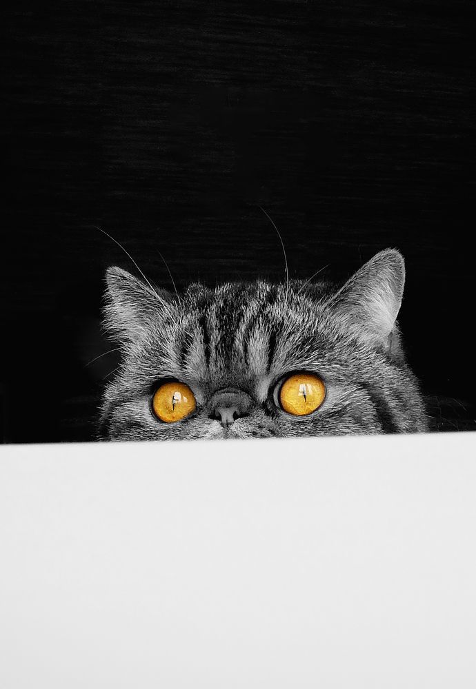 Photograph by Яна Полякова