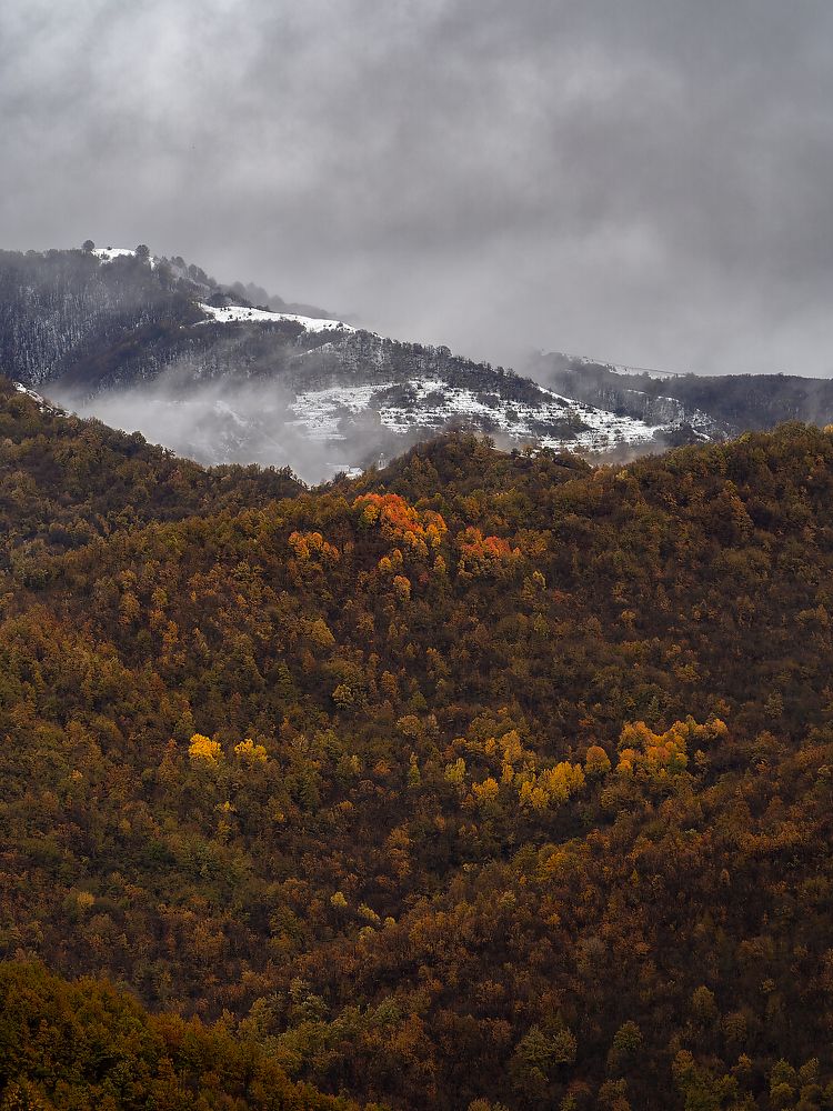 Photograph by Francesco Cassulo