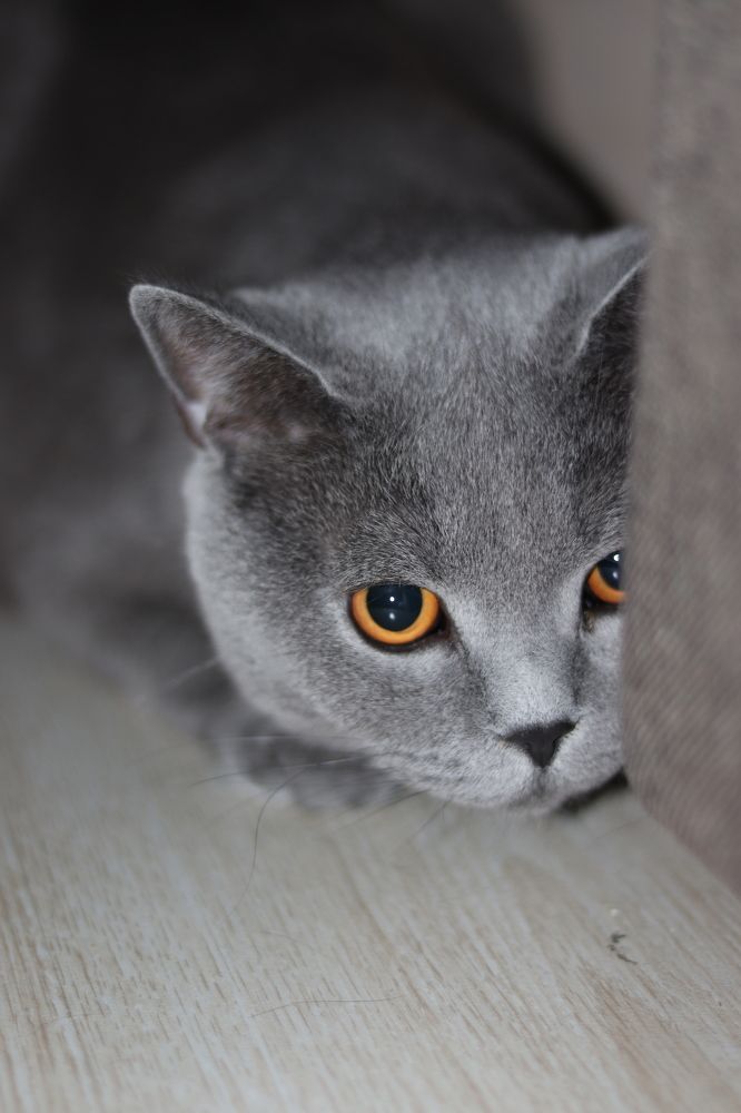 Photograph by Катерина