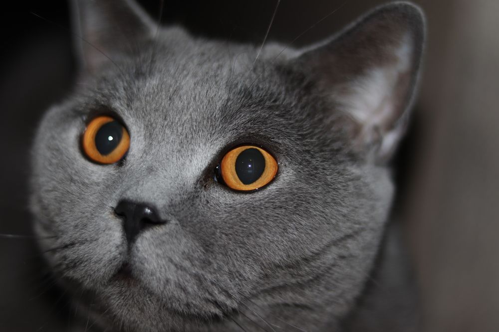 Photograph by Катерина