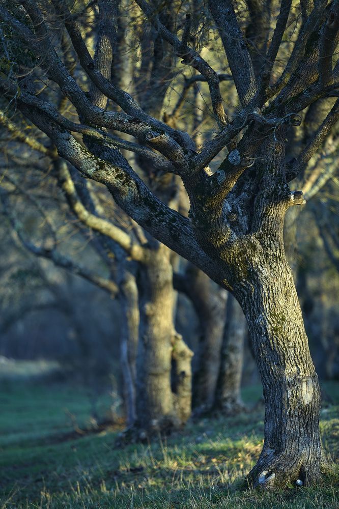 Фотография автора CIX Empire