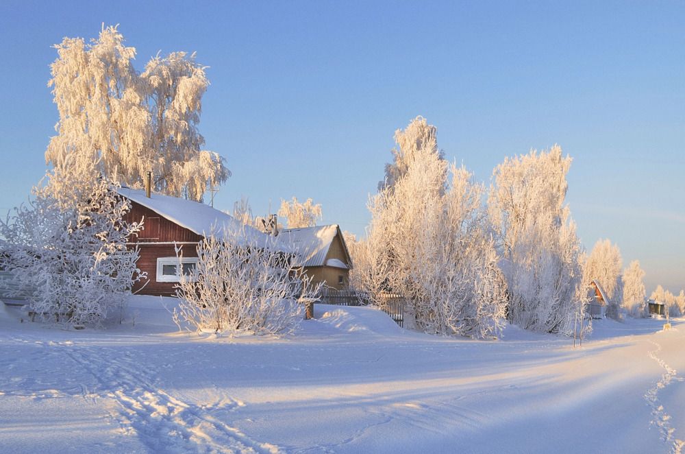 Photograph by Соколова Елена