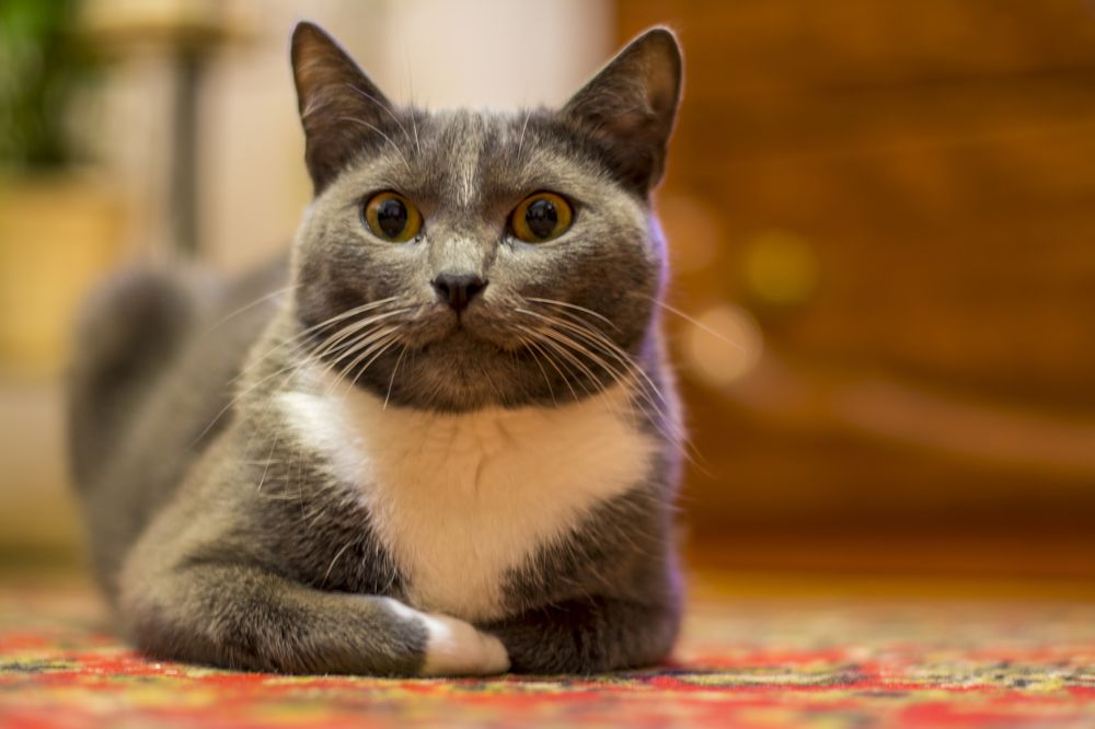 Photograph by Юрий Митенёв