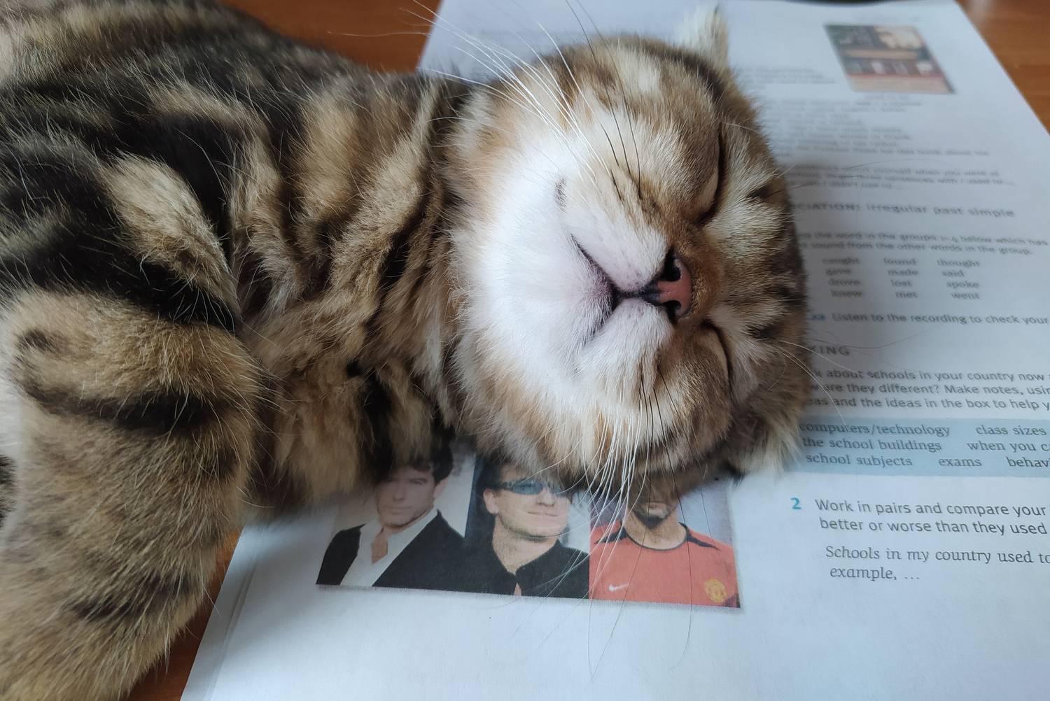 Photo #8645683