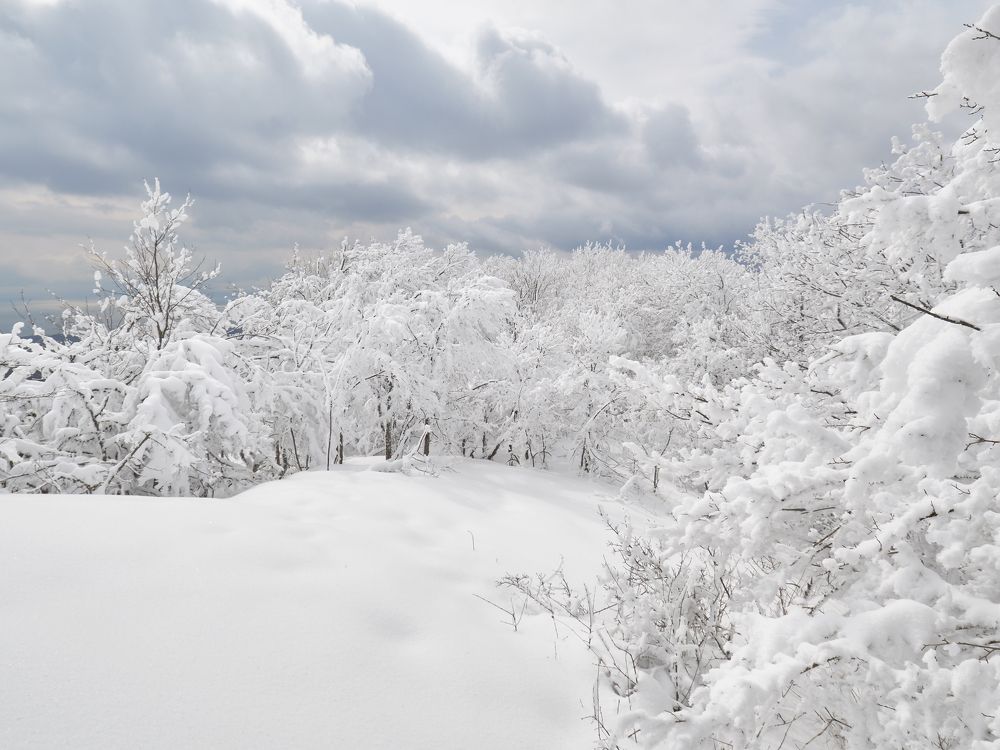 Photograph by Андрей Прищепин