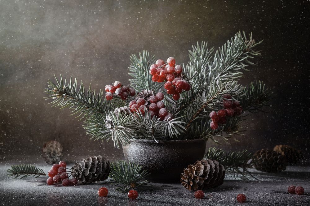 Photograph by Ирина Толокновская