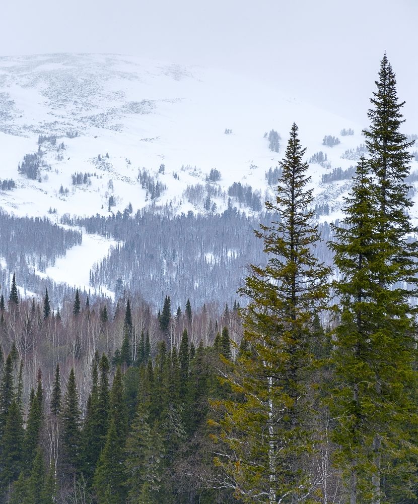 Photograph by Михаил Лавренков