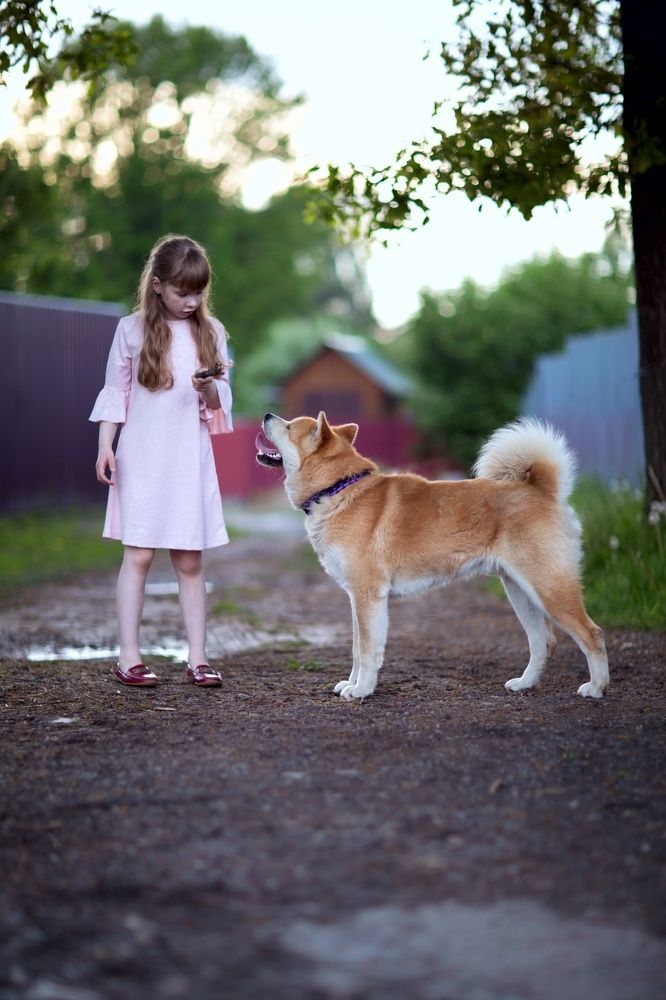Девочка с собакой