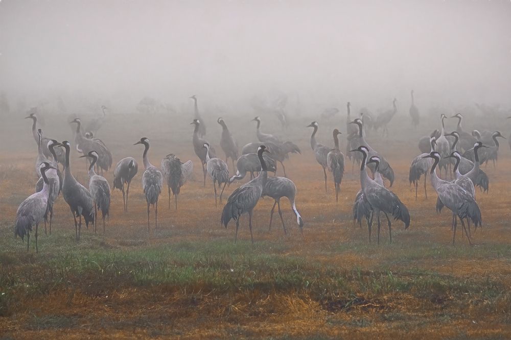 Photograph by Шварцман Евгений
