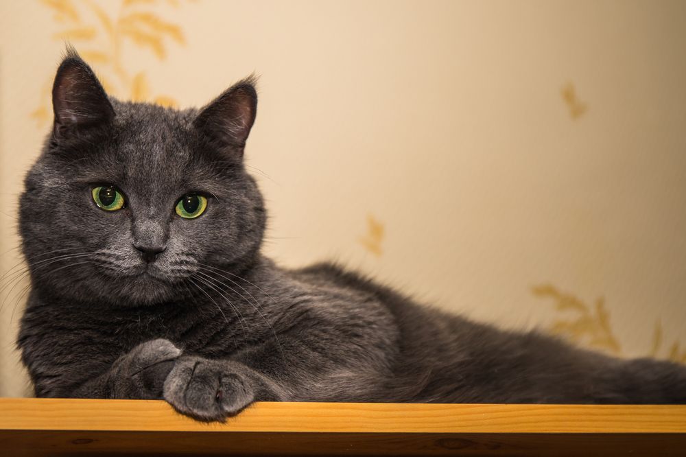 Photograph by Татьяна Гладкова