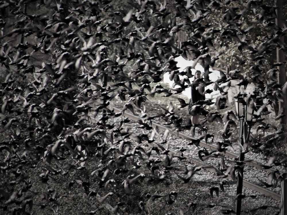 Photograph by Chrysanthopoulos Carmen Sorina