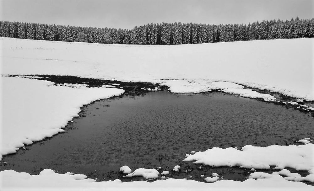 Фотография автора caroline martin (dony)