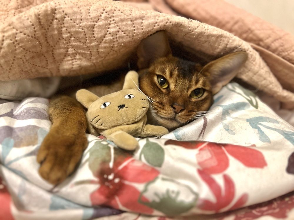 Photograph by Igors Bižâns