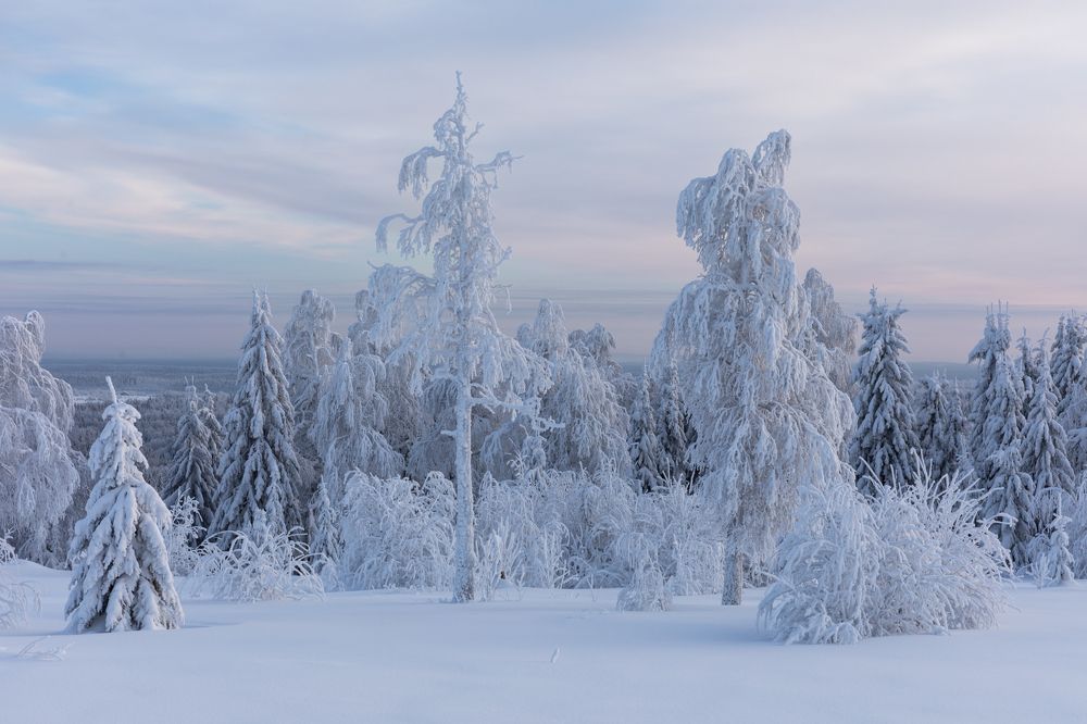 Photograph by Марина Маликова