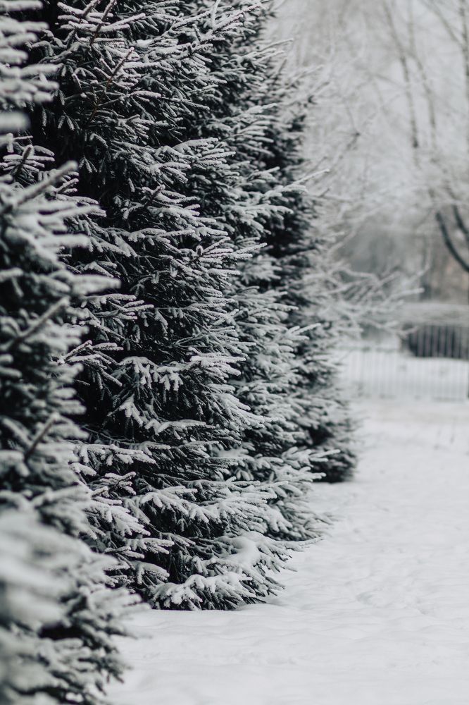 Photograph by Любовь Морозова