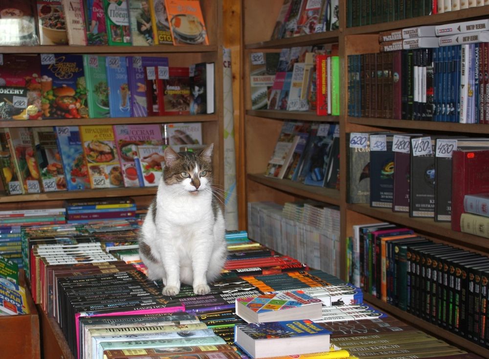 Photograph by Сергей Христинич