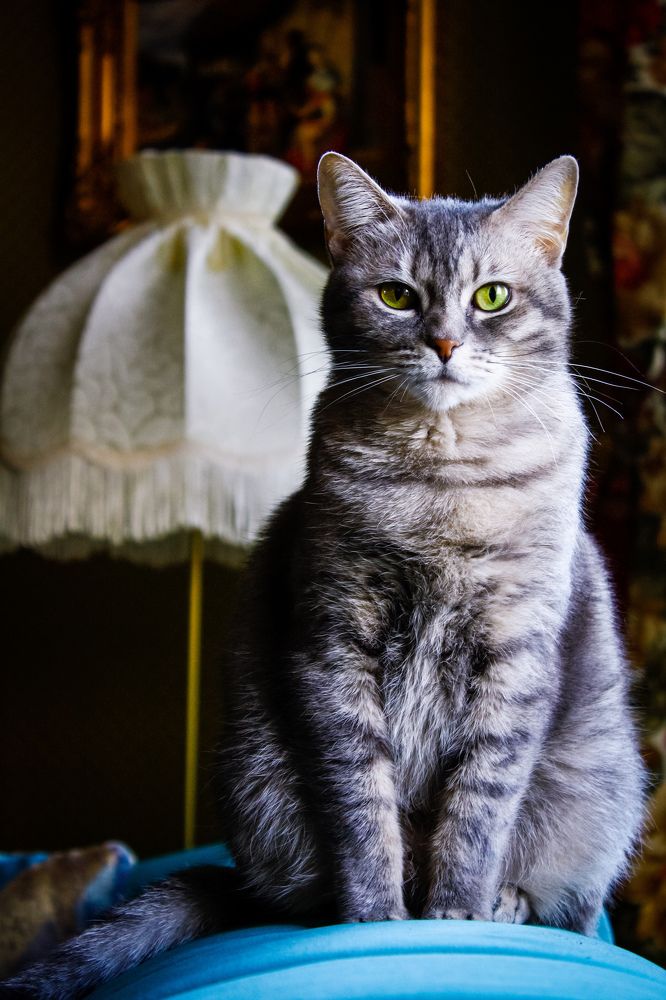 Photograph by Alena Rybakova