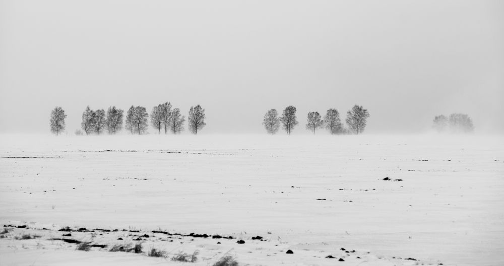 Photograph by Алексей Хасанов