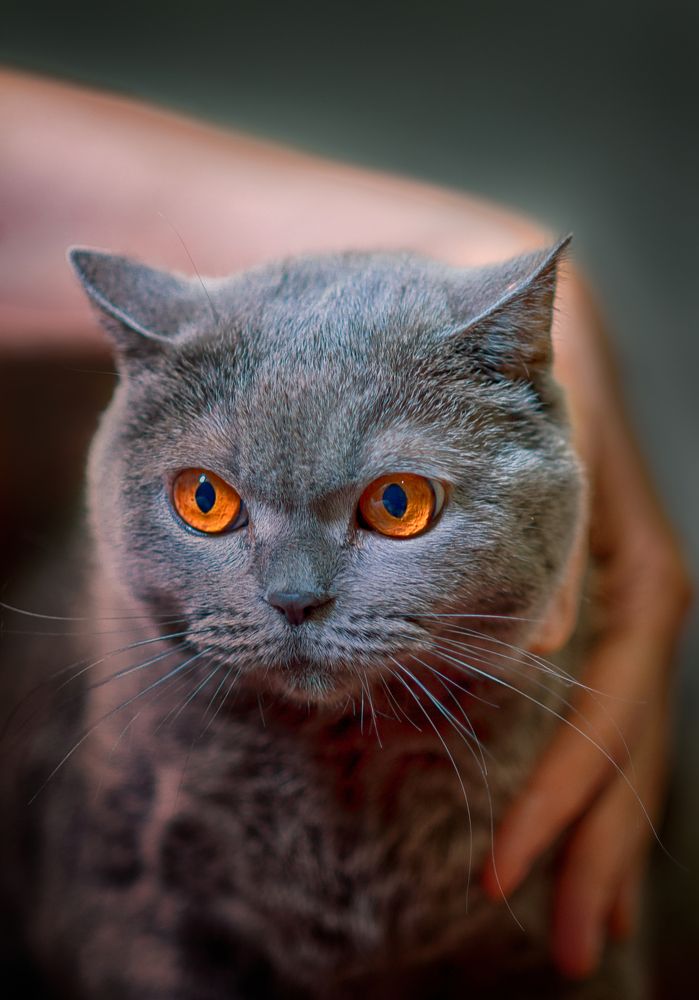 Photograph by Игорь Хижняк