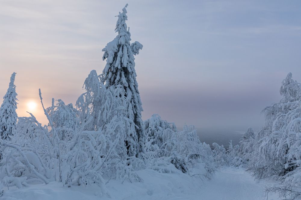 Photograph by Марина Маликова