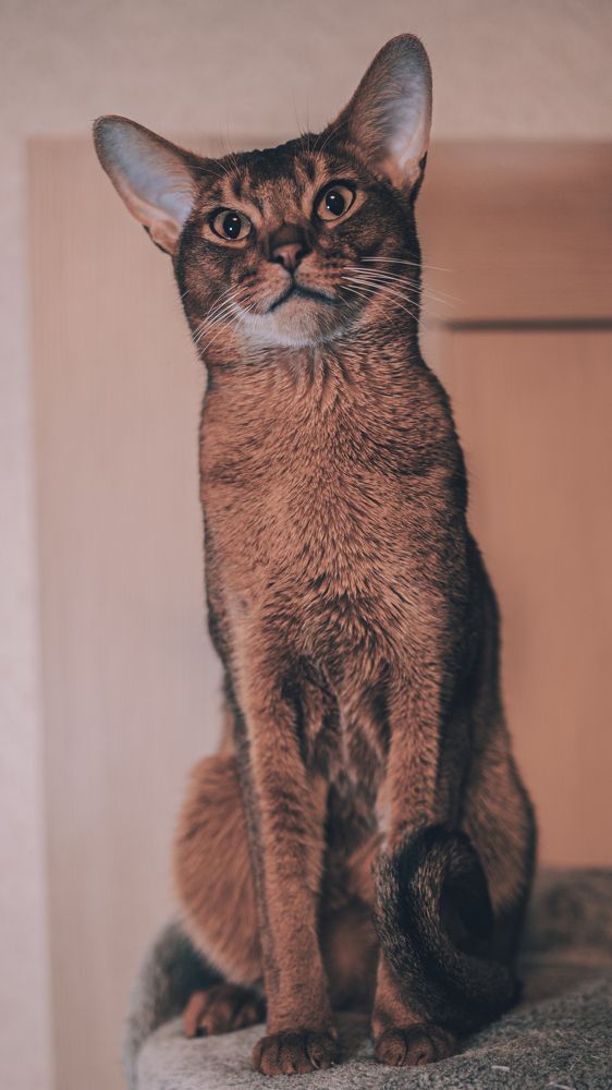 Photograph by Igors Bižâns