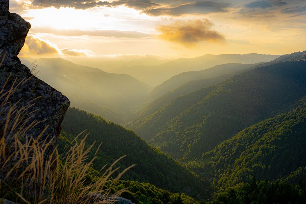 Photograph by Arcu Catalin