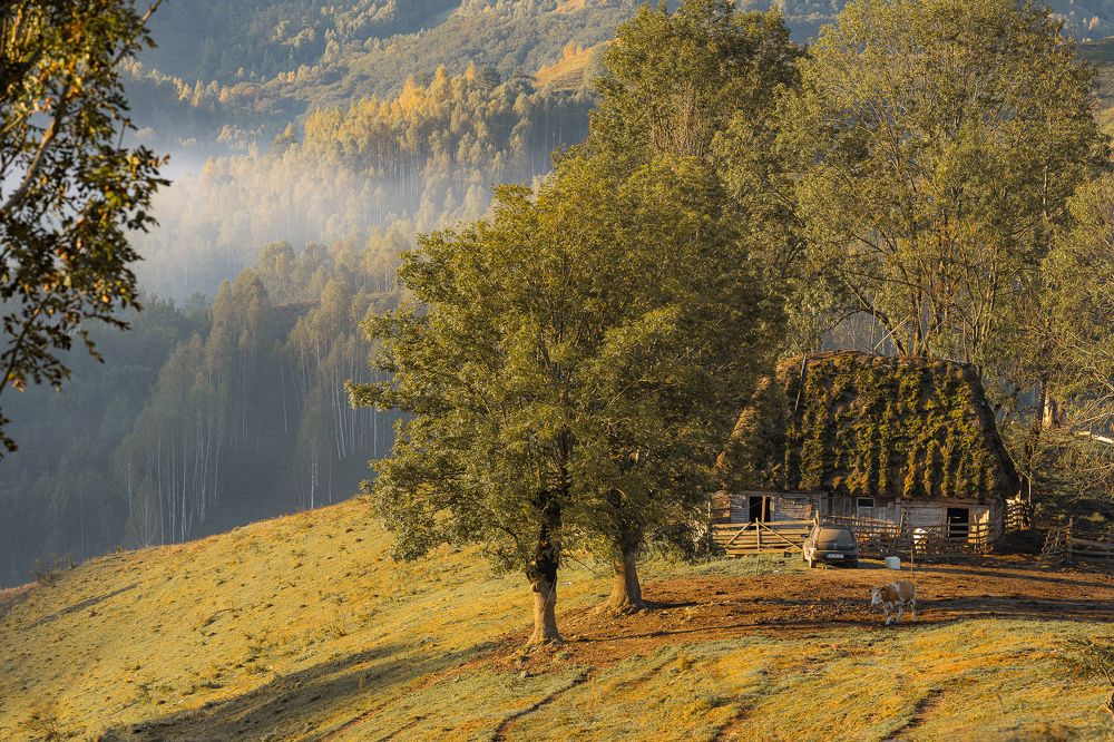 Photograph by Arcu Catalin