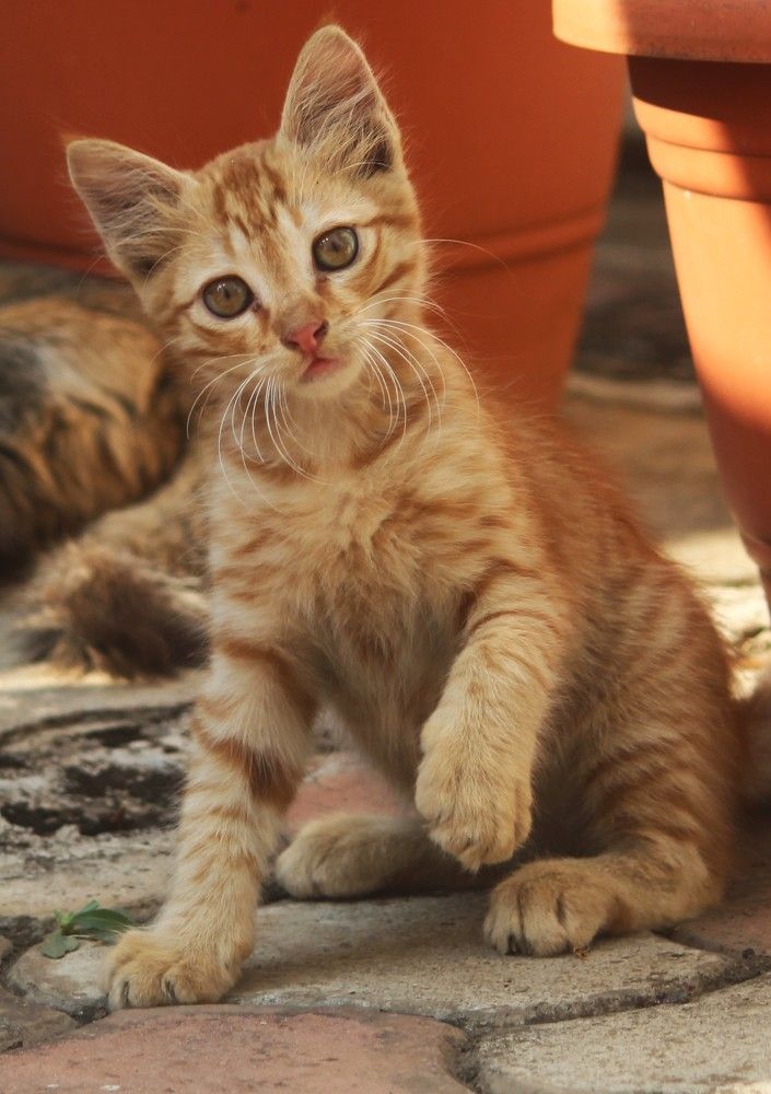 Photograph by Chandrahas Kurane