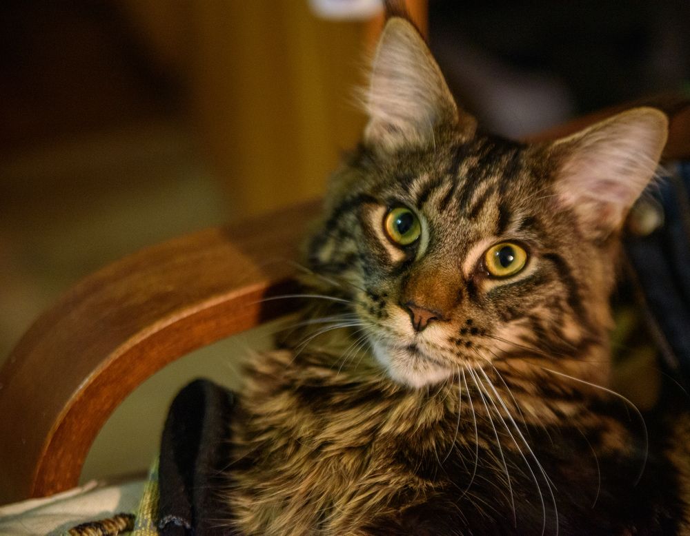 Photograph by Владислав Калинин