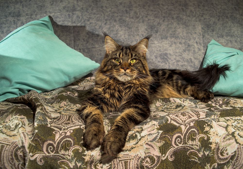 Photograph by Владислав Калинин