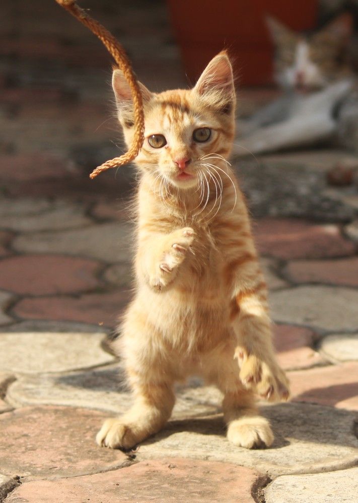 Photograph by Chandrahas Kurane