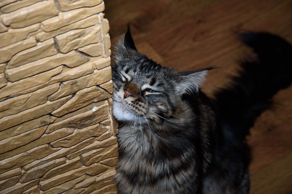 Photograph by Владислав Калинин