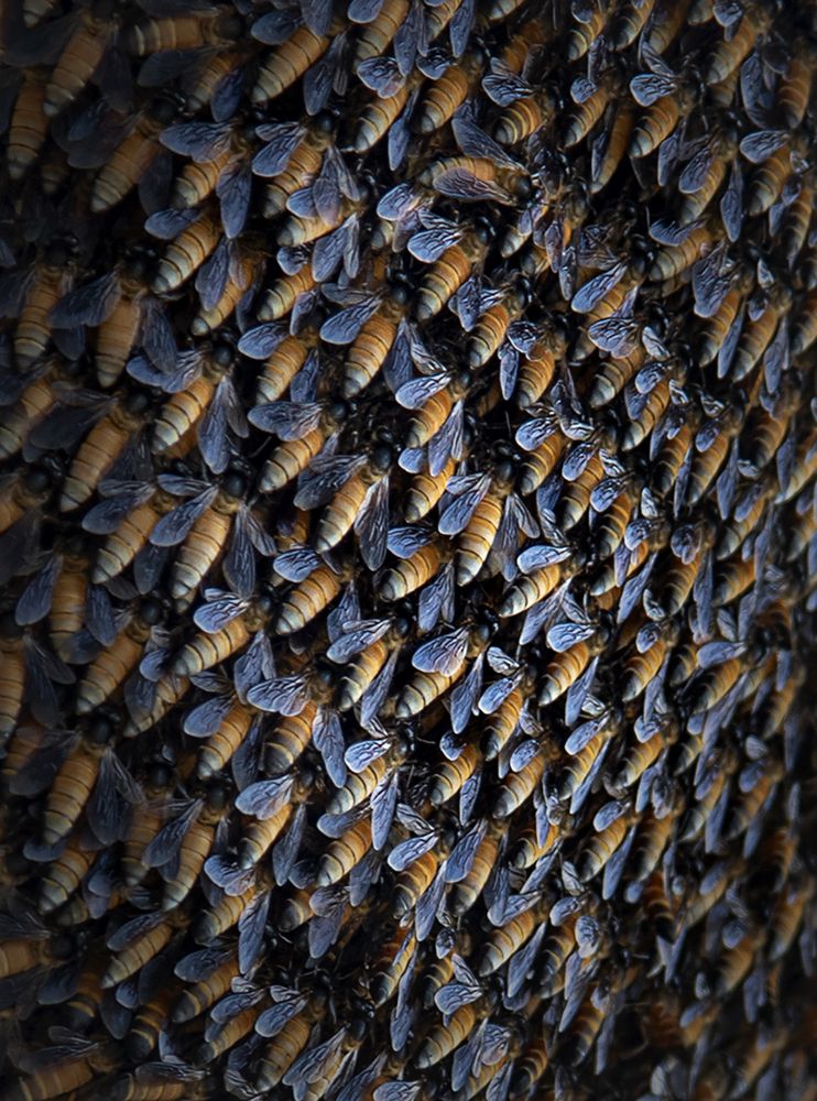 Photograph by GOUTAM PAL