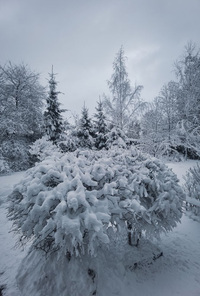 Photograph by Сафронов Александр